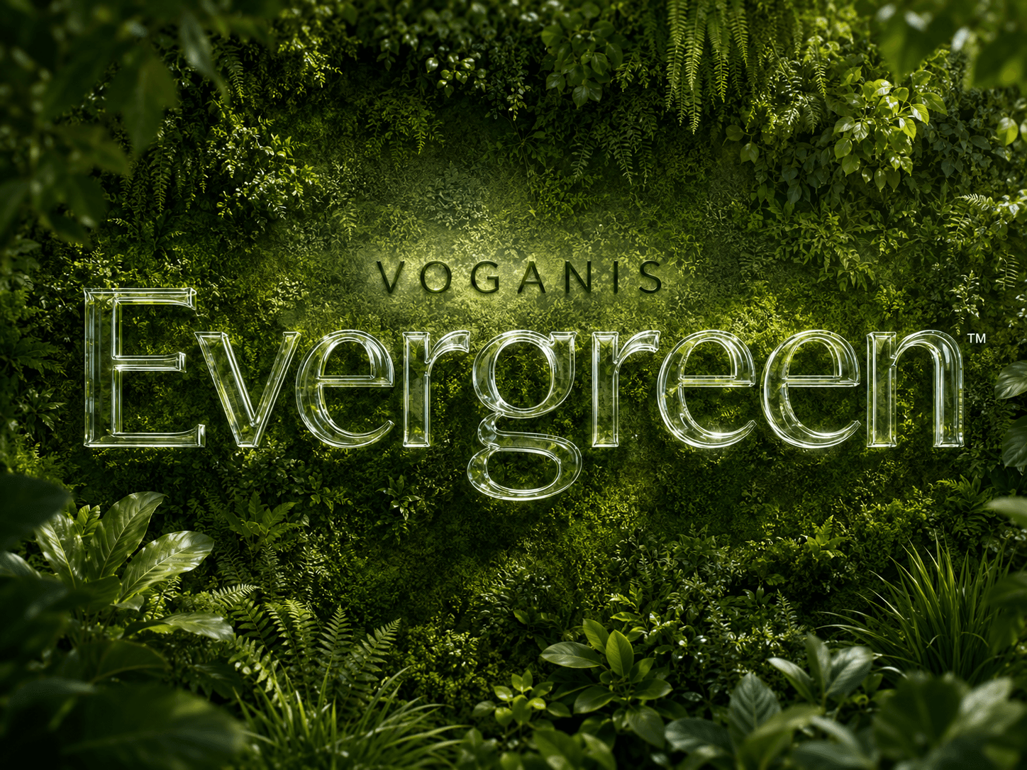 Canlı yeşil bitki duvarı üzerinde cam harflerle VOGANIS Evergreen yazısı